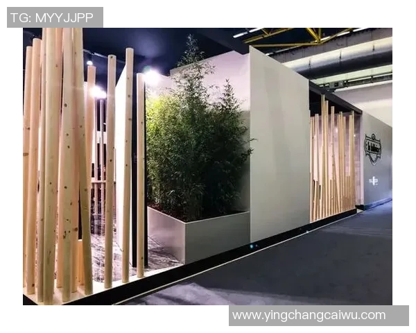 加莱诺的艺术世界探索与人文精神的深刻交融之旅