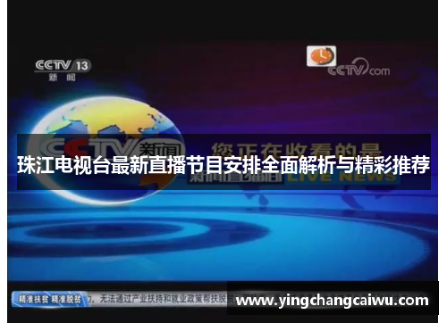 珠江电视台最新直播节目安排全面解析与精彩推荐