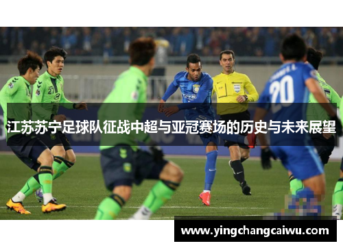 江苏苏宁足球队征战中超与亚冠赛场的历史与未来展望