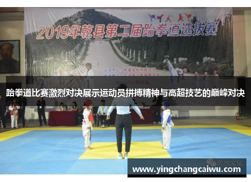 跆拳道比赛激烈对决展示运动员拼搏精神与高超技艺的巅峰对决